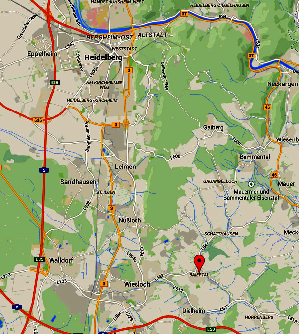 Map of Heidelberg and Baiertal
